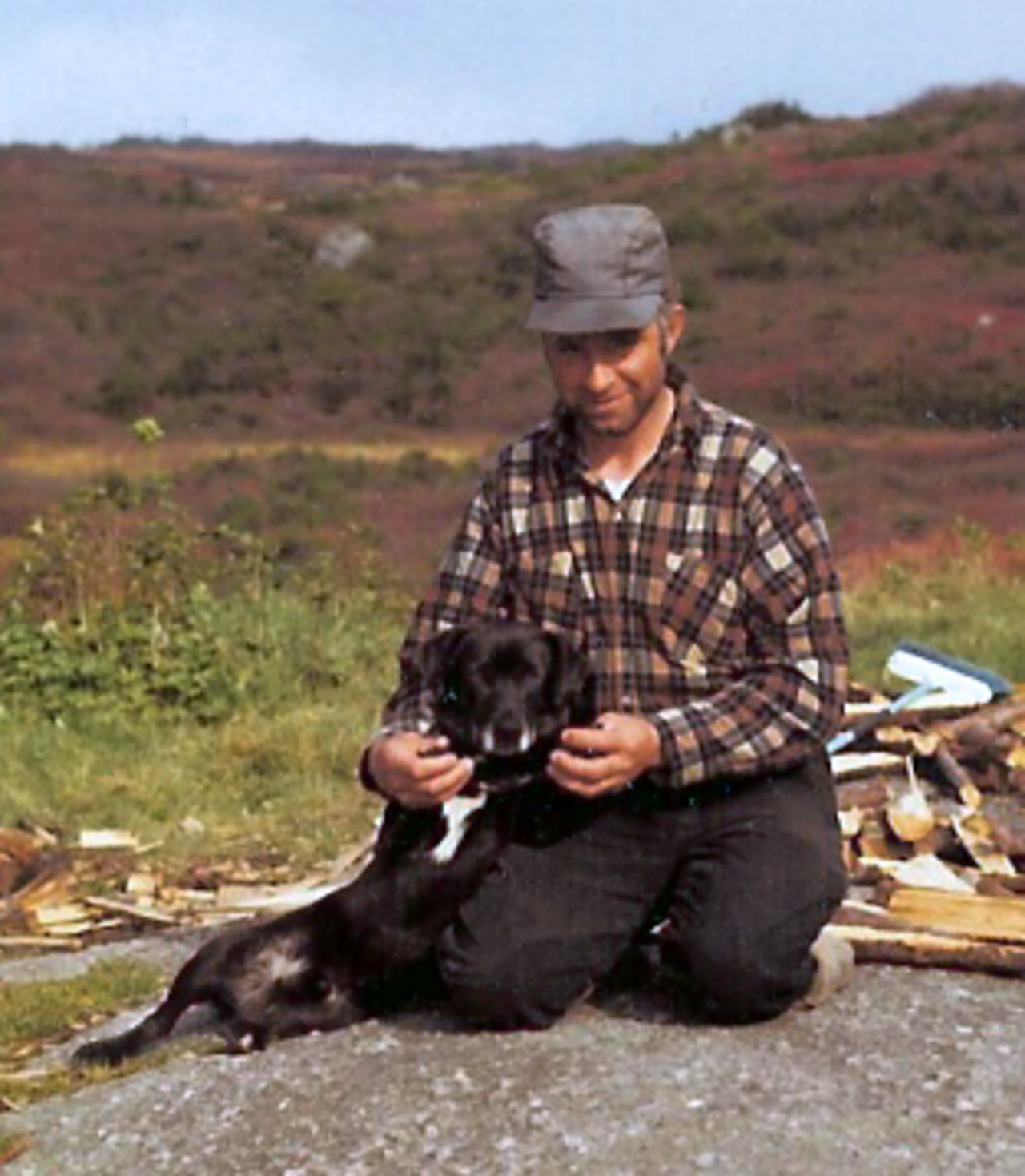 St. John's water dog dog