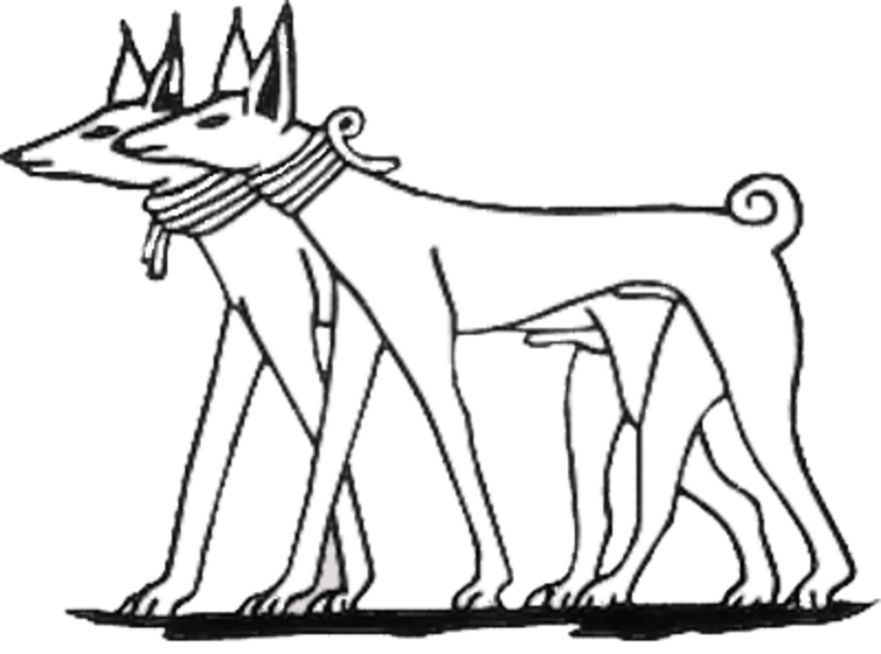 Tesem dog